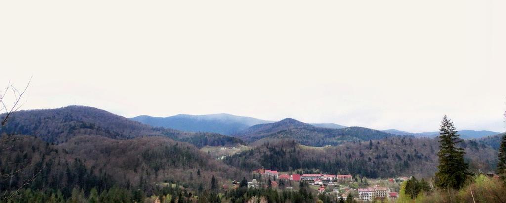 Guest House Karpaty Yaremche Bagian luar foto